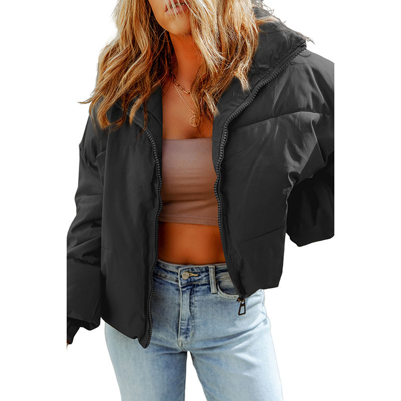 jackets  | Plus Size Casual All-matching jacket | Black |  L| thecurvestory.myshopify.com