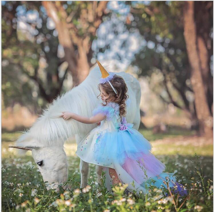 Girls Unicorn printed multi colored princess dress  Girl Dress Thecurvestory